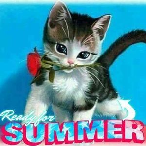 Meet your Posher, Coriska